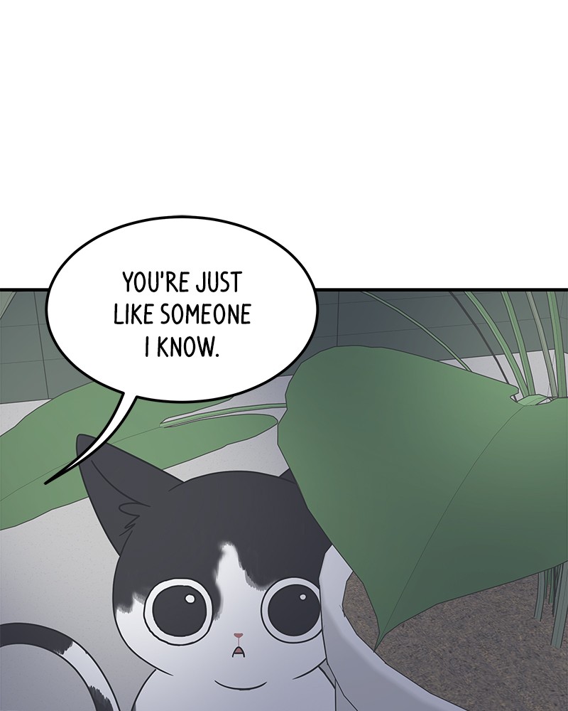 A Guide to Proper Dating chapter 54 - page 31