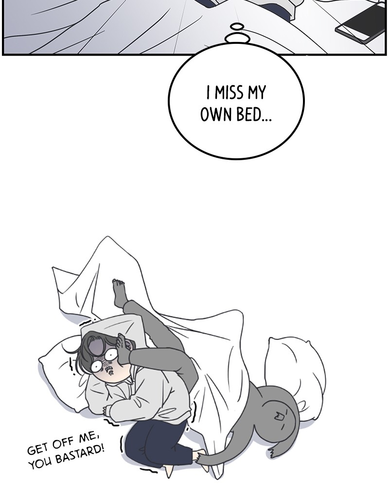 A Guide to Proper Dating chapter 36 - page 9