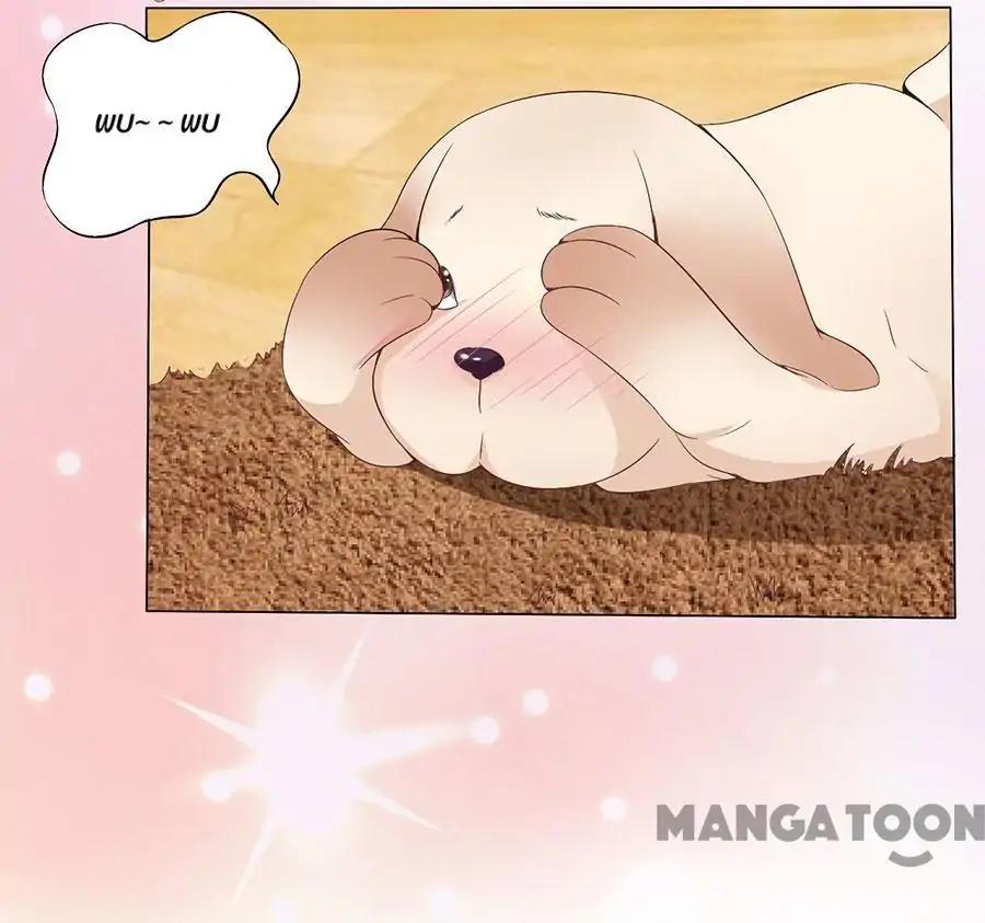 When Doctor Chu Wants Romance chapter 161 - page 28