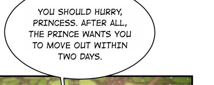 The Princess Doctor’s Revenge Chapter 35 - page 16