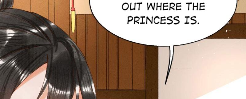 The Princess Doctor’s Revenge Chapter 18 - page 35