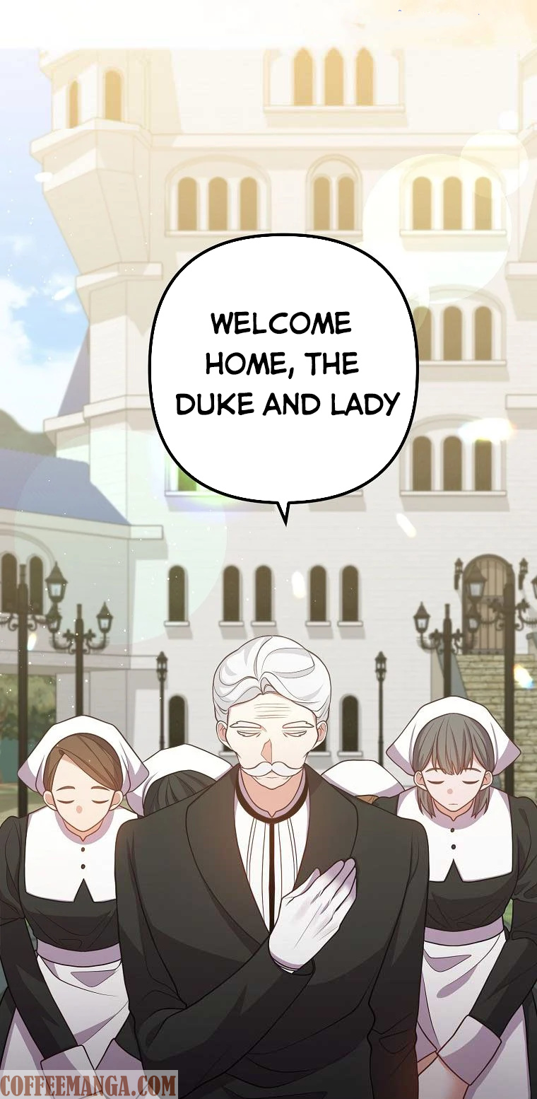 Divorce Me, Husband! chapter 27 - page 43