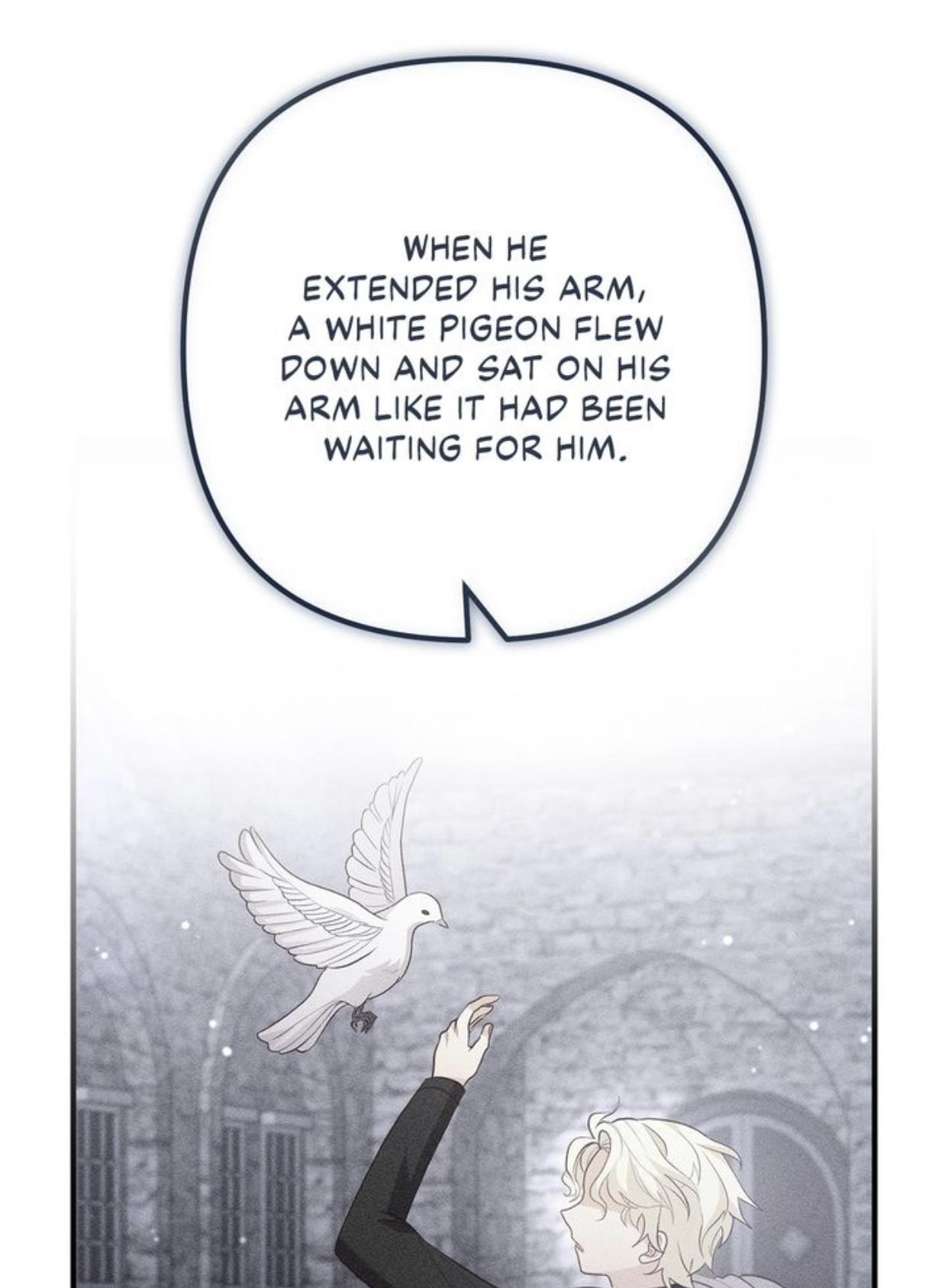 Divorce Me, Husband! chapter 54 - page 61
