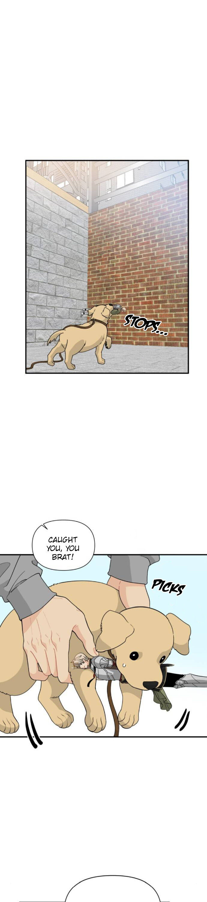Protect Me, Knight chapter 8 - page 19