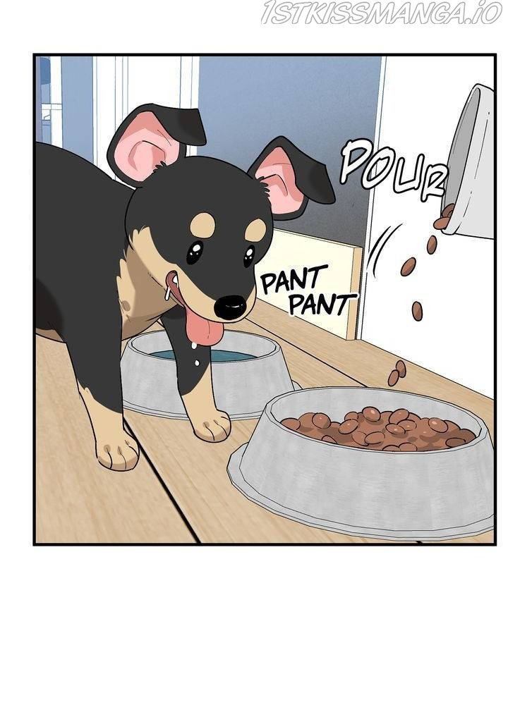 Protect Me, Knight chapter 39 - page 48