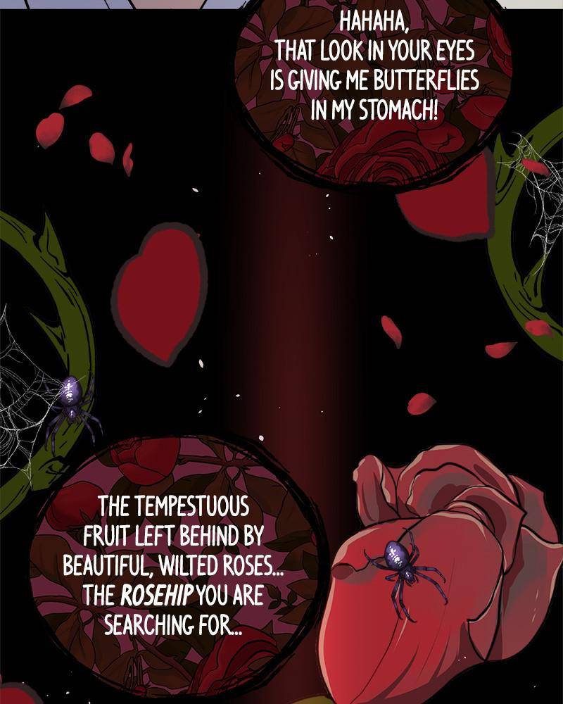 The Princess’ Jewelry Box Chapter 35 - page 4