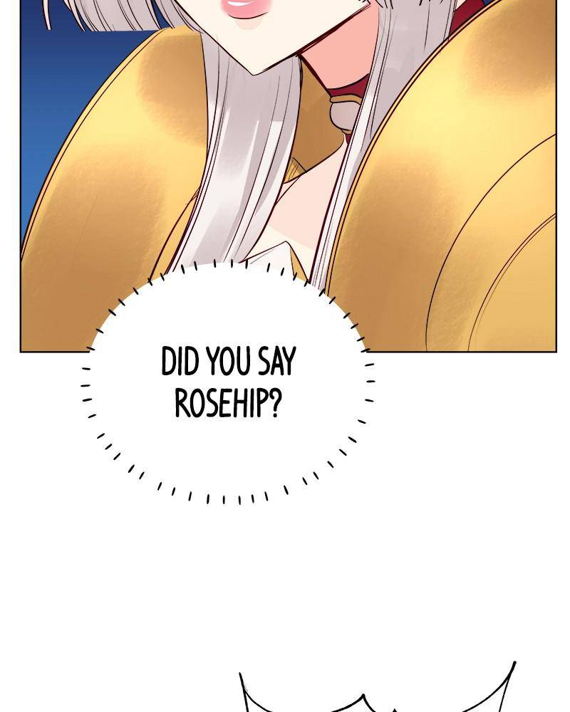 The Princess’ Jewelry Box Chapter 35 - page 73