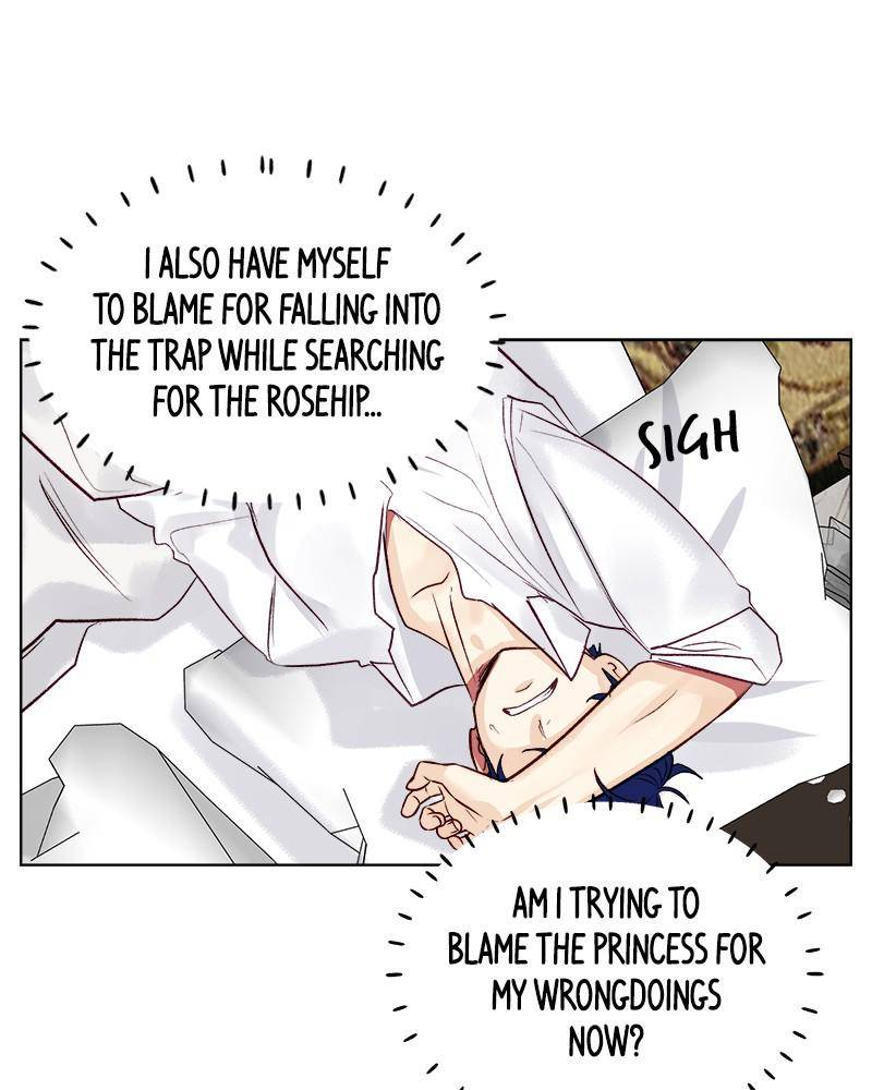 The Princess’ Jewelry Box Chapter 38 - page 67