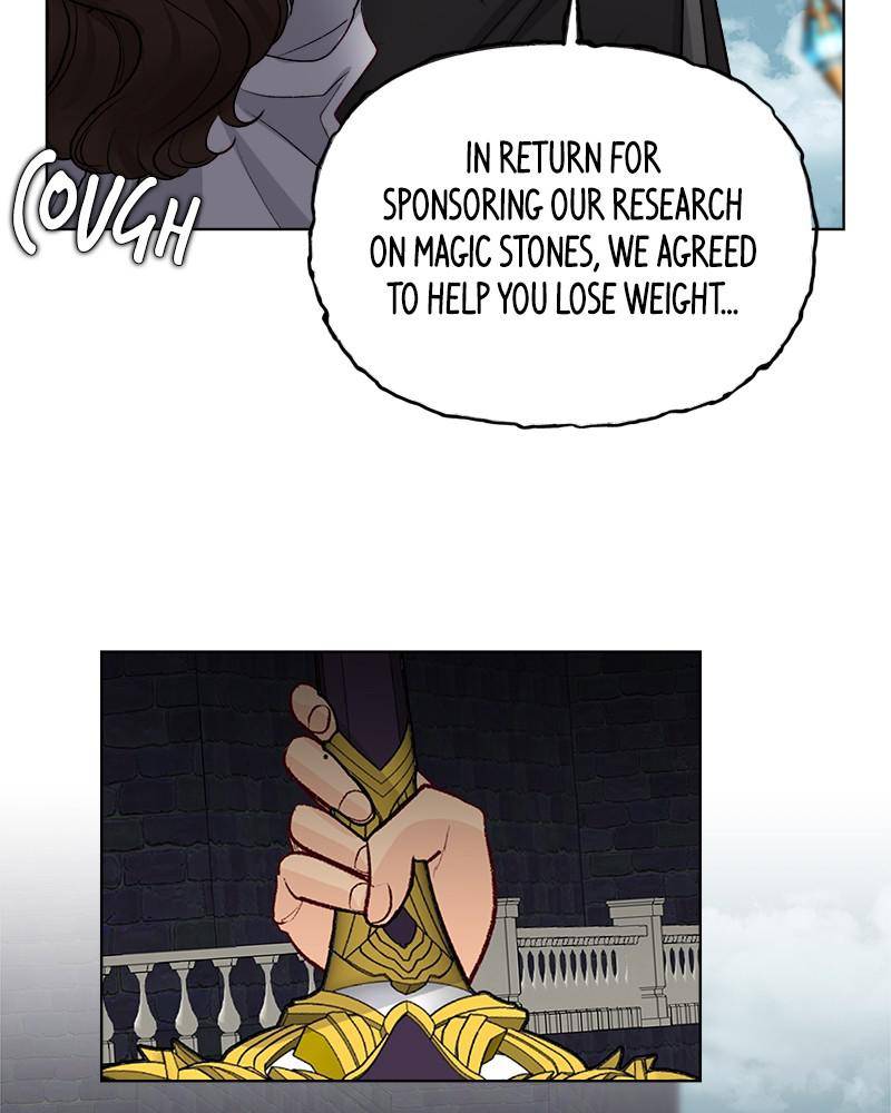 The Princess’ Jewelry Box Chapter 45 - page 42