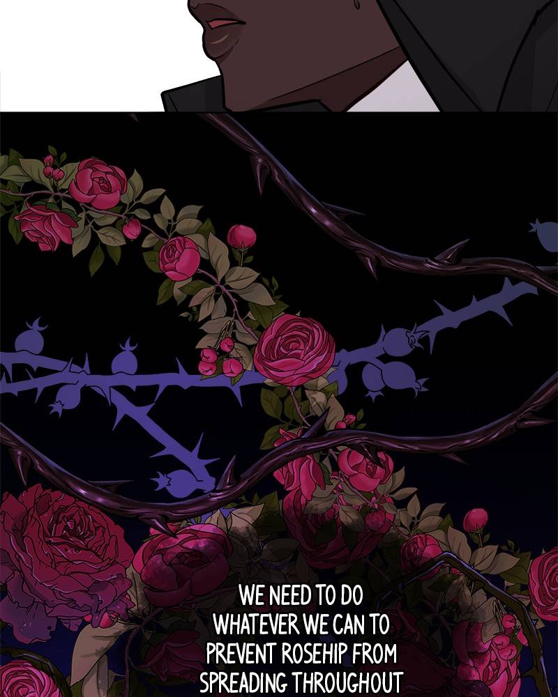 The Princess’ Jewelry Box Chapter 46 - page 28