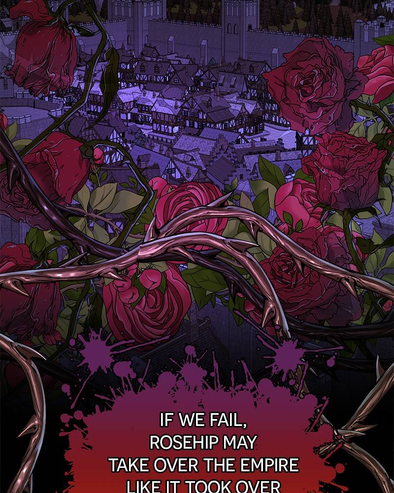 The Princess’ Jewelry Box Chapter 46 - page 30