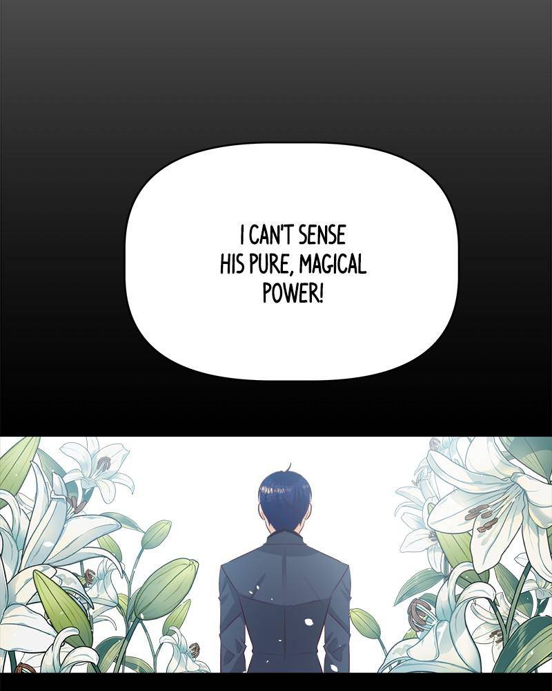 The Princess’ Jewelry Box Chapter 34 - page 91