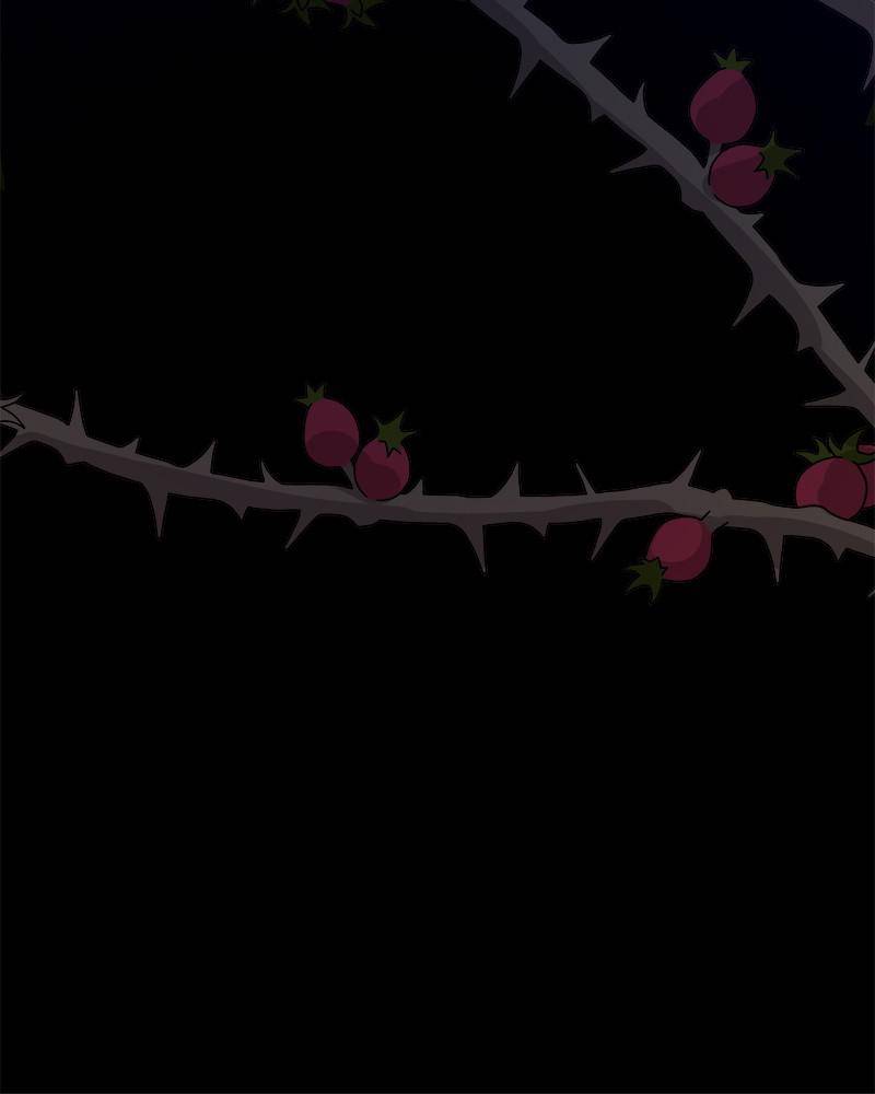 The Princess’ Jewelry Box Chapter 31 - page 39