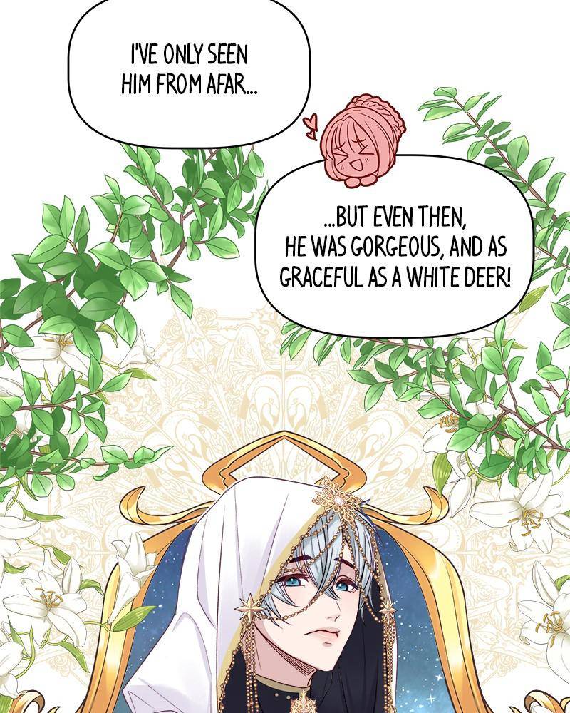 The Princess’ Jewelry Box Chapter 24 - page 43