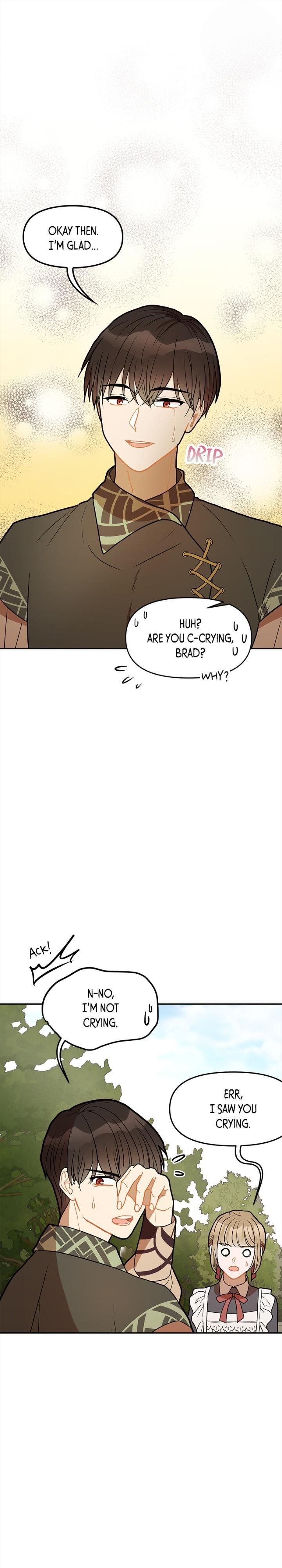 Romance Fantasy Comic Binge chapter 26 - page 13