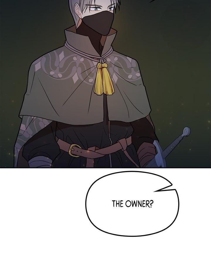Romance Fantasy Comic Binge chapter 42 - page 63