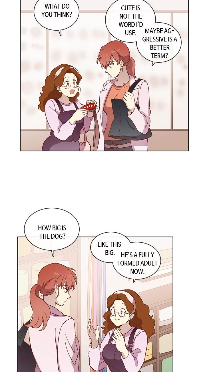 Love and Leashes Chapter 31 - page 13