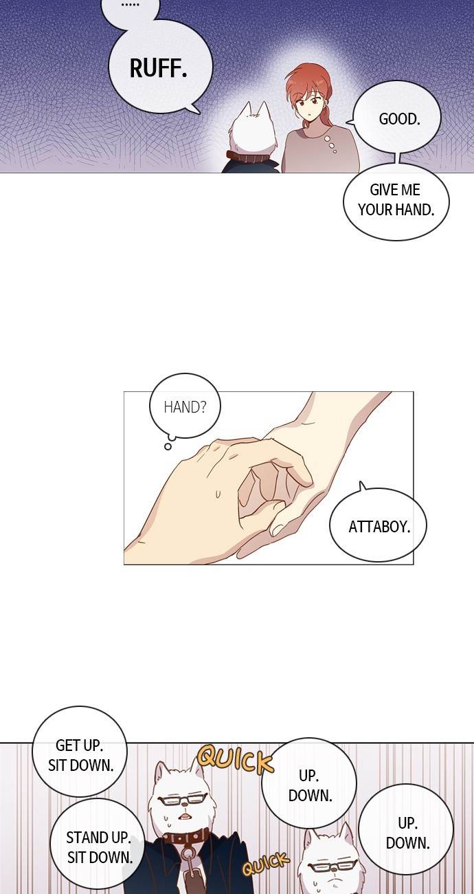 Love and Leashes Chapter 33 - page 33