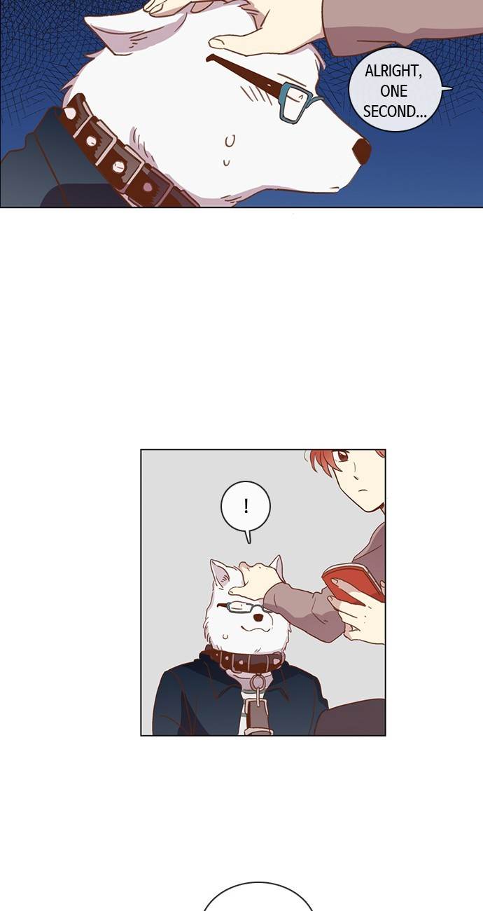 Love and Leashes Chapter 33 - page 36
