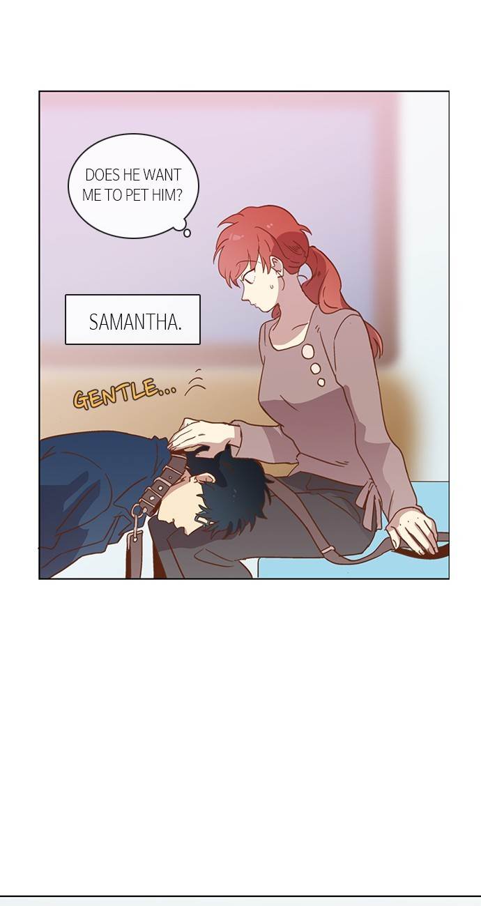 Love and Leashes Chapter 33 - page 42