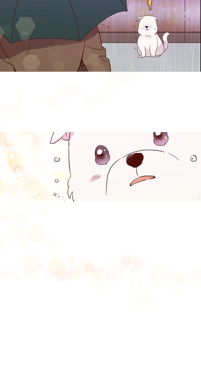 Love and Leashes Chapter 12 - page 38