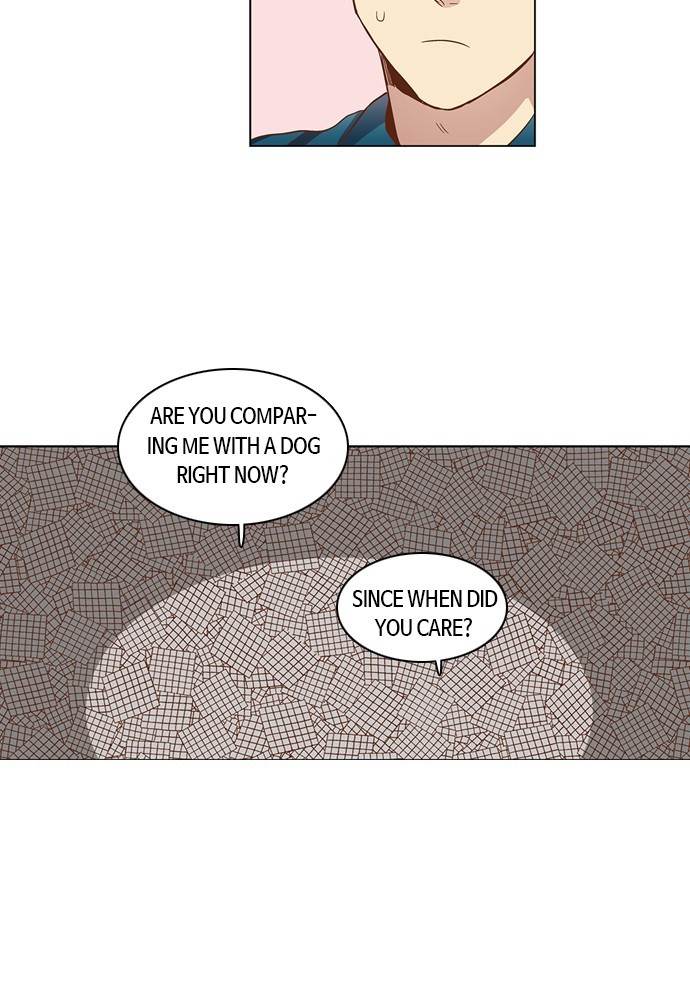 Love and Leashes Chapter 24 - page 41