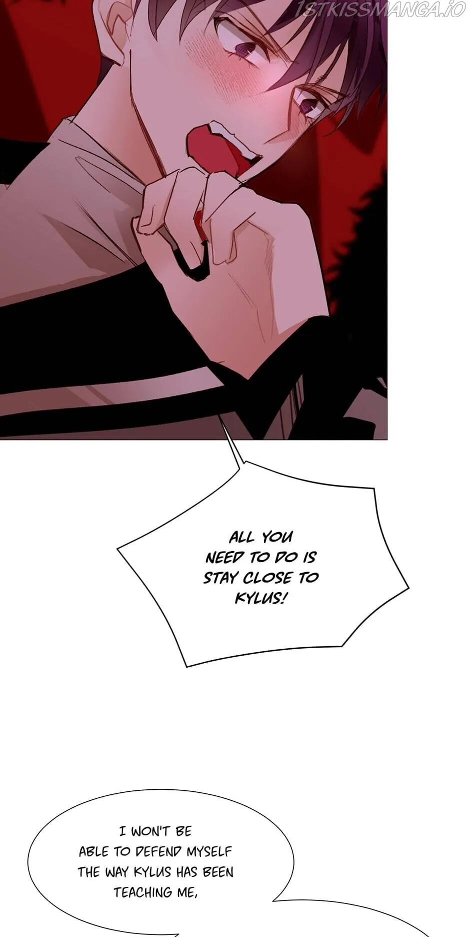 The Stereotypical Life of a Reincarnated Lady Chapter 81 - page 5
