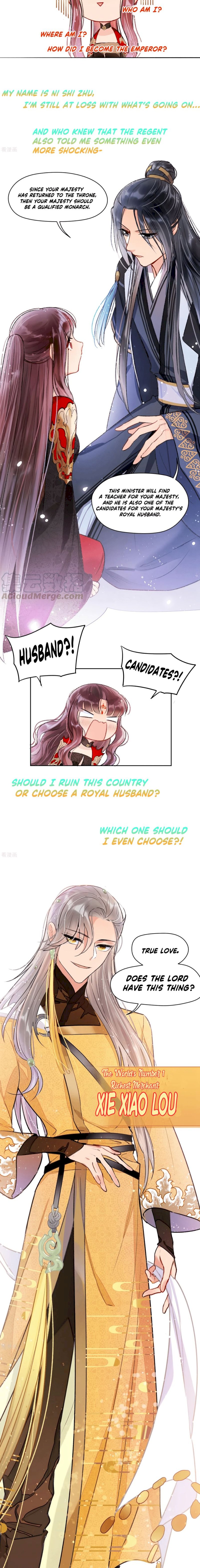 My Majesty Wants to Ruin The Country Chapter 0.1 - page 4