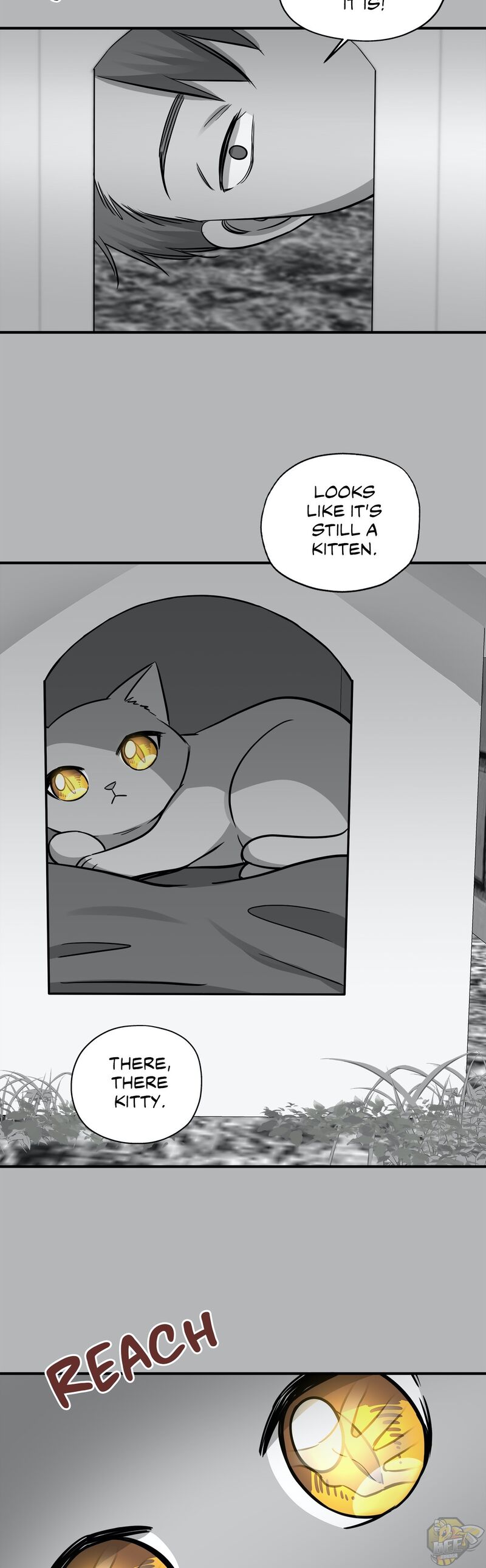 Just for a Meowment Chapter 41 - page 17