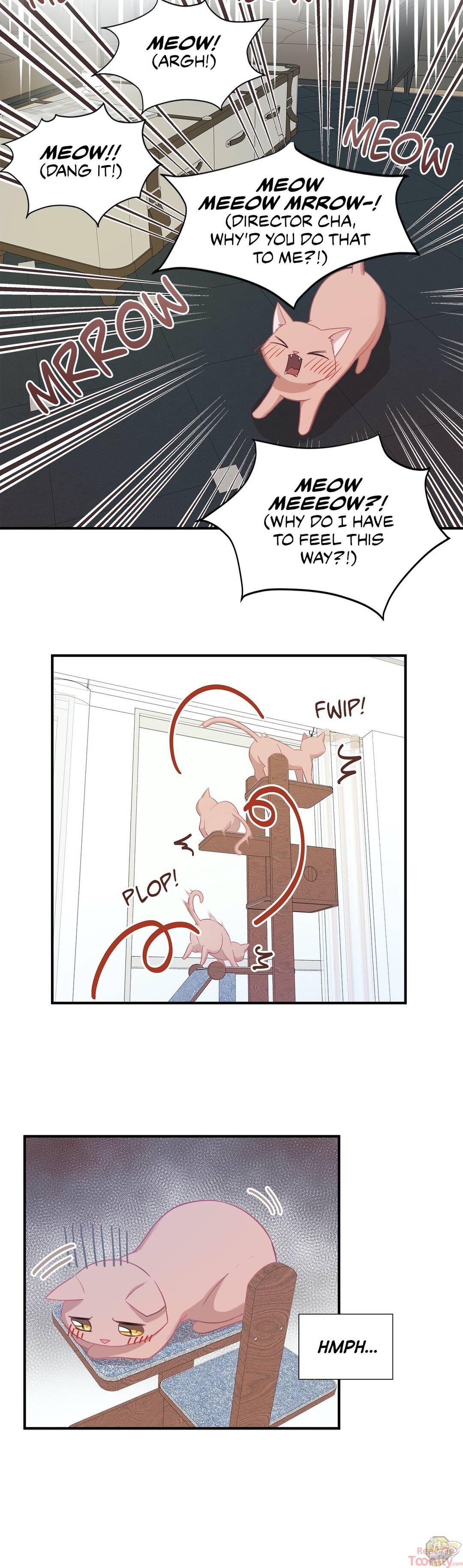 Just for a Meowment Chapter 17 - page 4