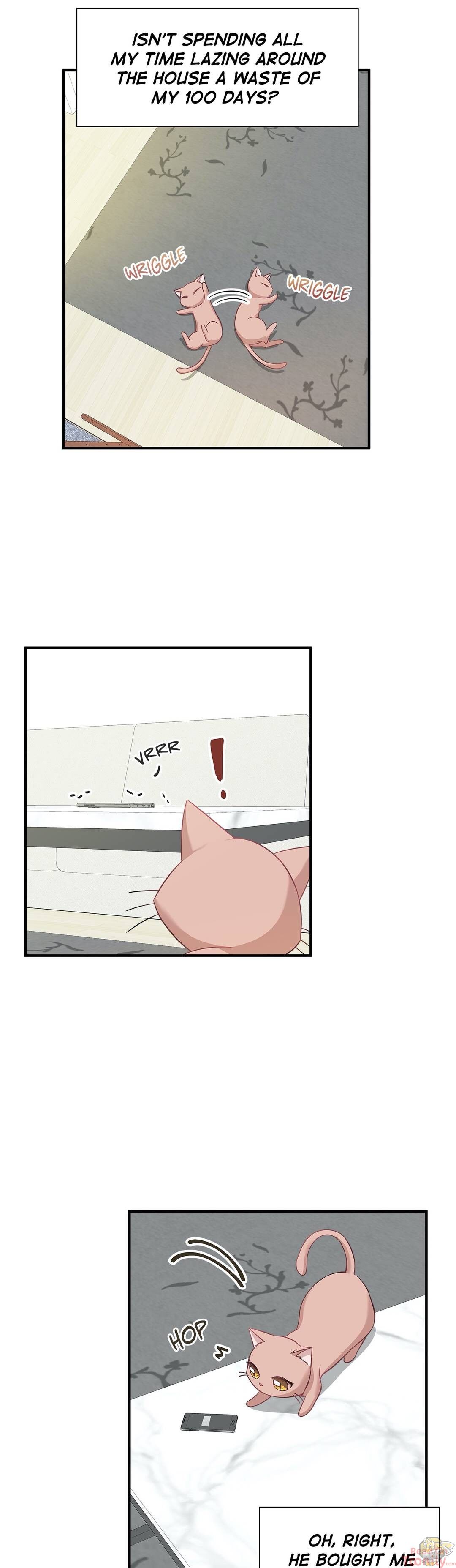 Just for a Meowment Chapter 17 - page 6