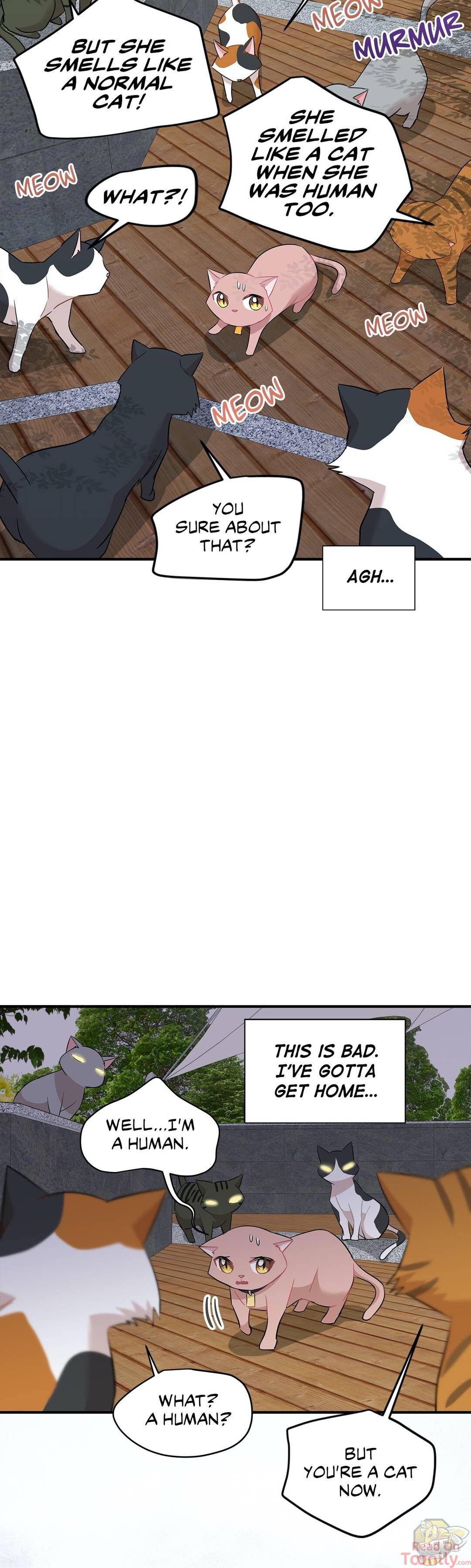 Just for a Meowment Chapter 21 - page 10