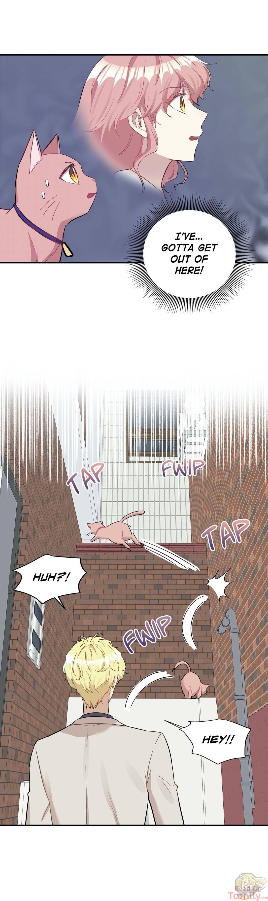 Just for a Meowment Chapter 21 - page 4