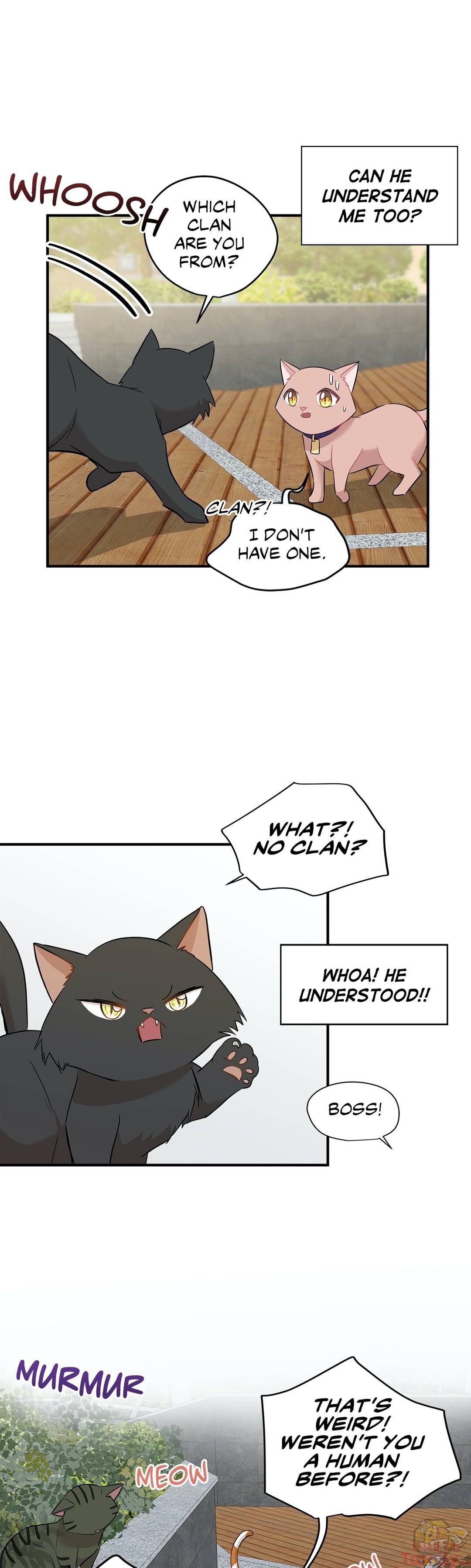 Just for a Meowment Chapter 21 - page 9