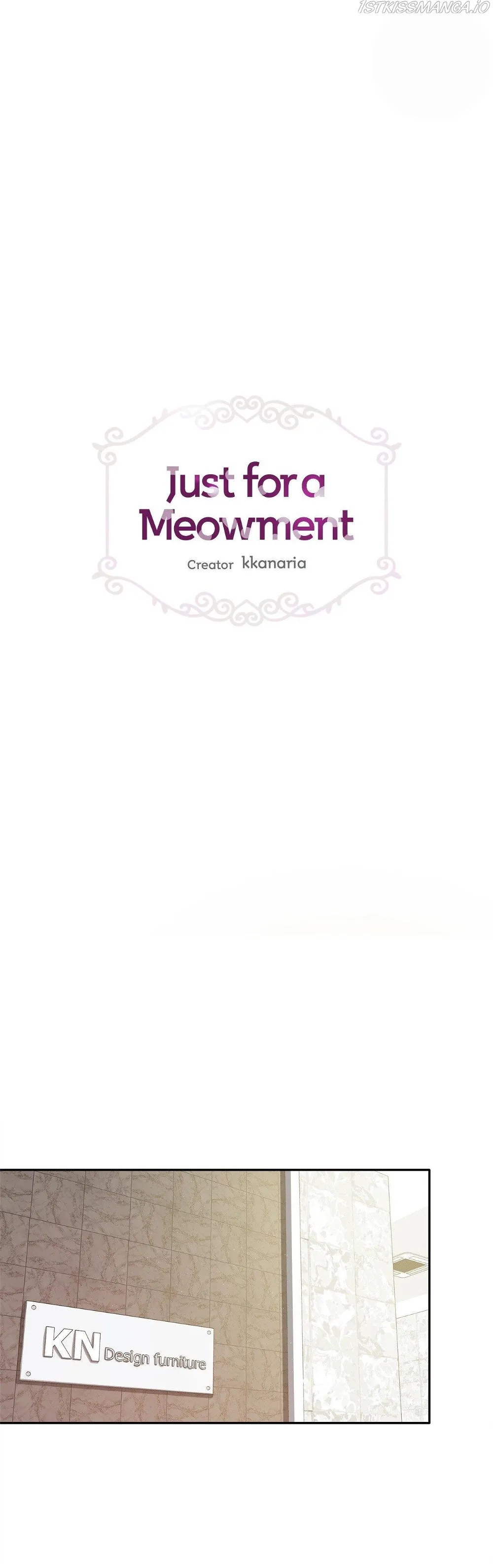 Just for a Meowment Chapter 66 - page 1