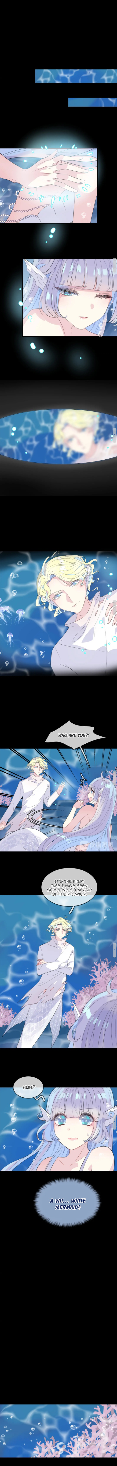 The Mermaid Wears a Dress Chapter 18 - page 3