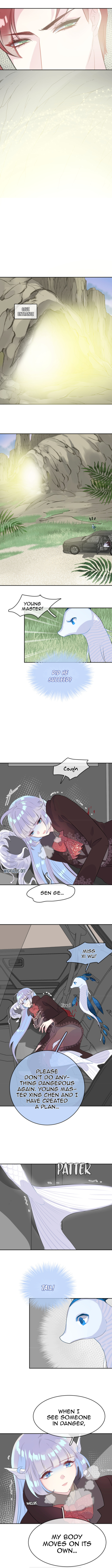 The Mermaid Wears a Dress Chapter 13 - page 5