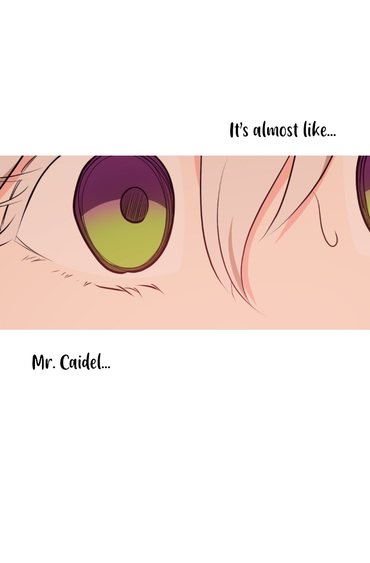 A Witch’s Hopeless Wish Chapter 36 - page 12