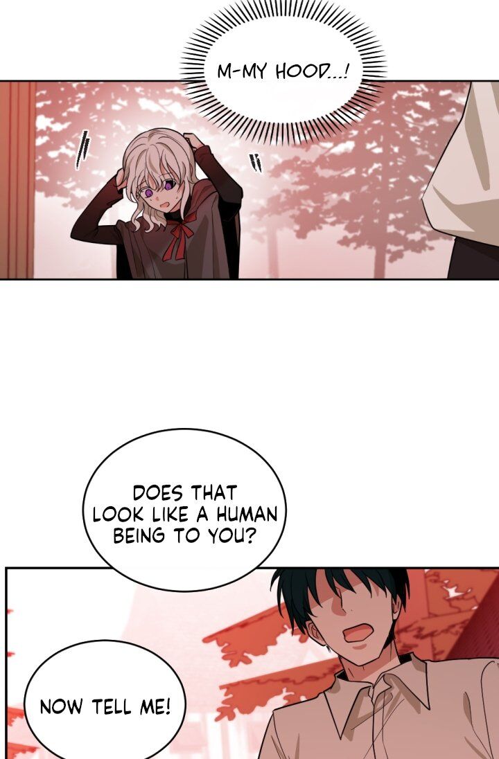 A Witch’s Hopeless Wish Chapter 48 - page 39