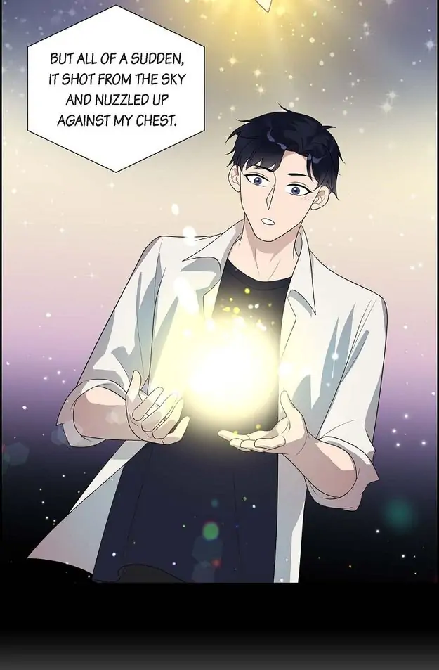 A Misogamist’s Romance Chapter 17 - page 9