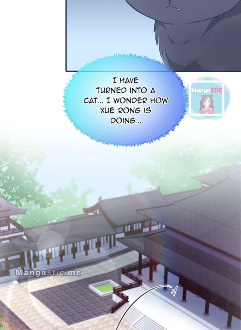 The Most Beloved Chapter 43 - page 3