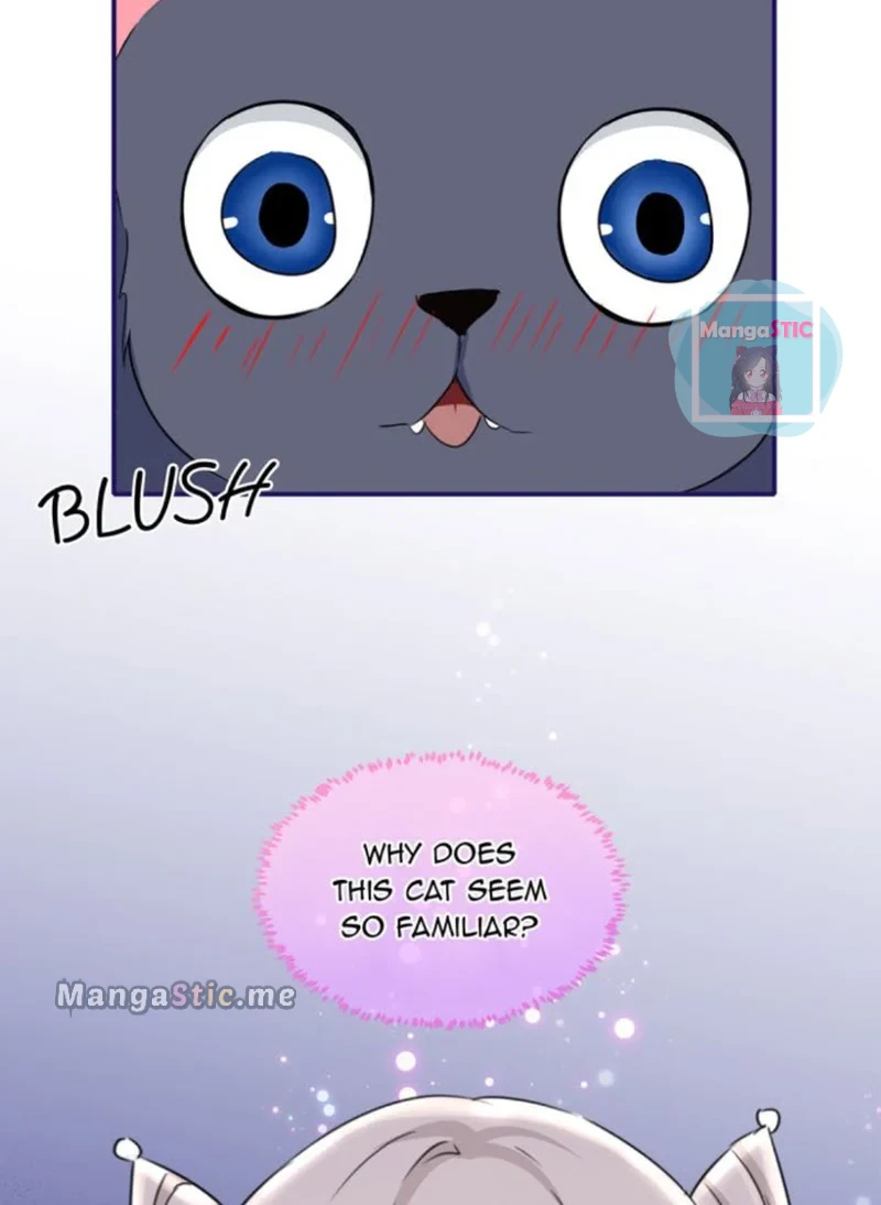 The Most Beloved Chapter 43 - page 31