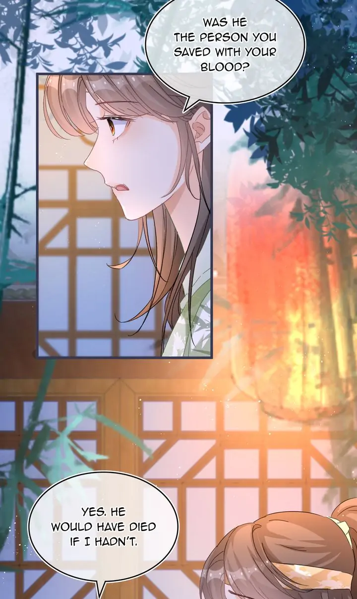 The Most Beloved Chapter 52 - page 3