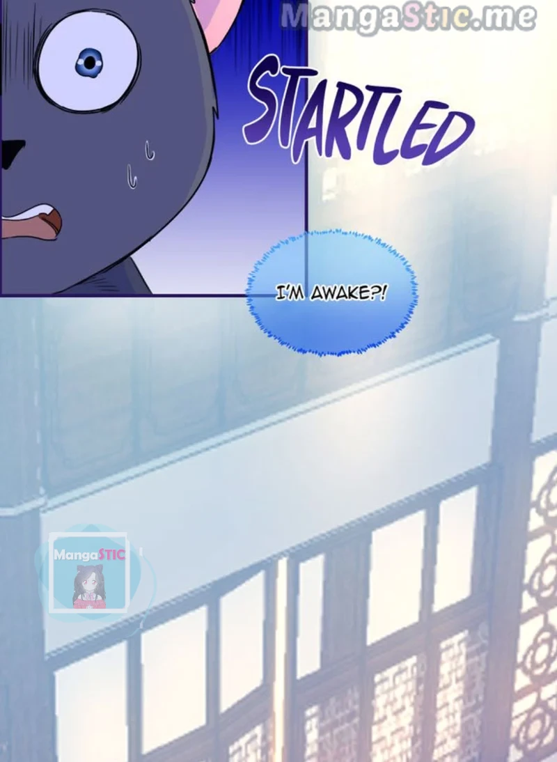 The Most Beloved Chapter 47 - page 37