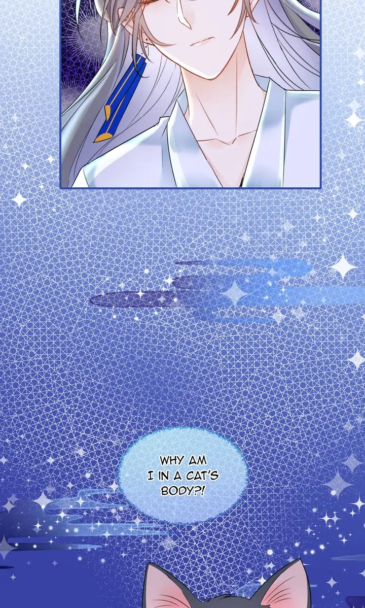 The Most Beloved chapter 42 - page 46