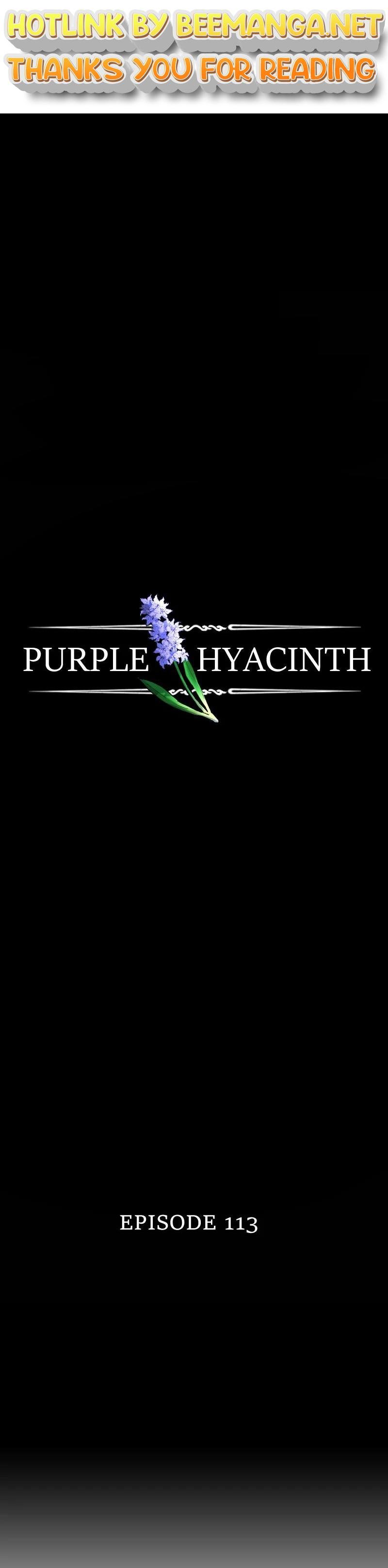 Purple Hyacinth Chapter 117 - page 1