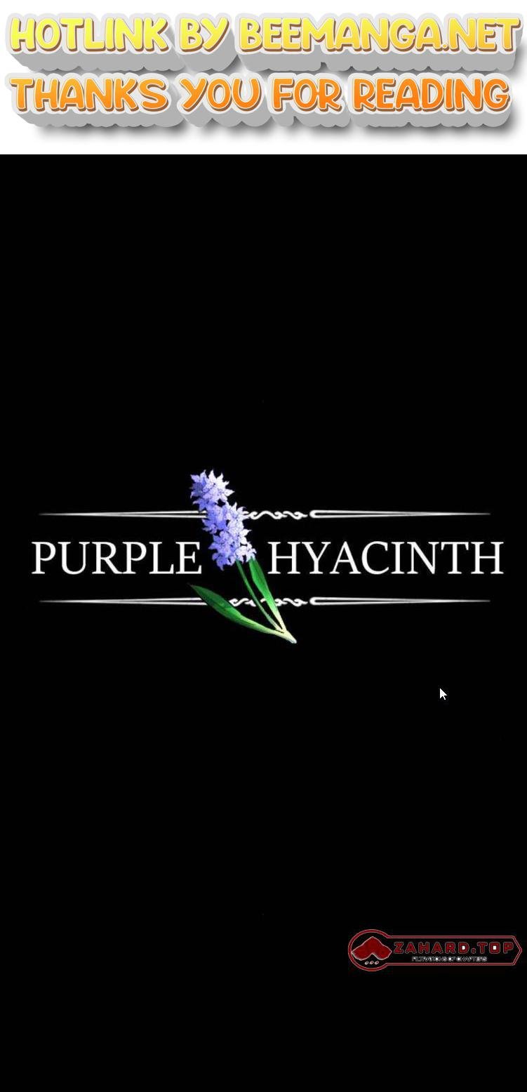 Purple Hyacinth Chapter 113 - page 1