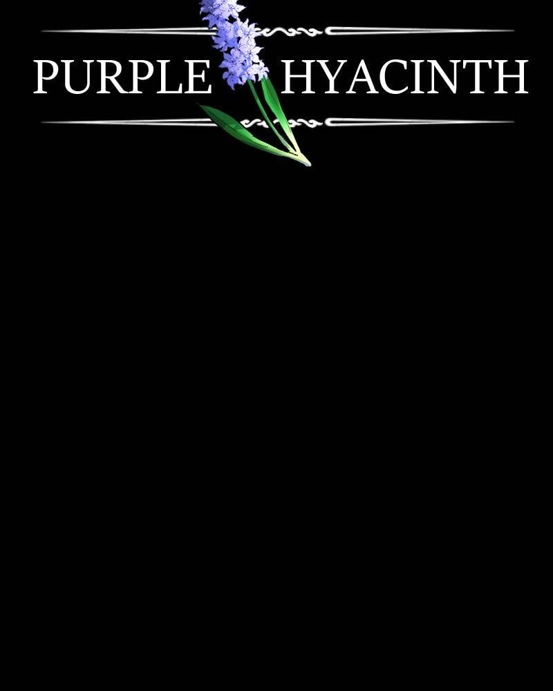 Purple Hyacinth Chapter 136 - page 2
