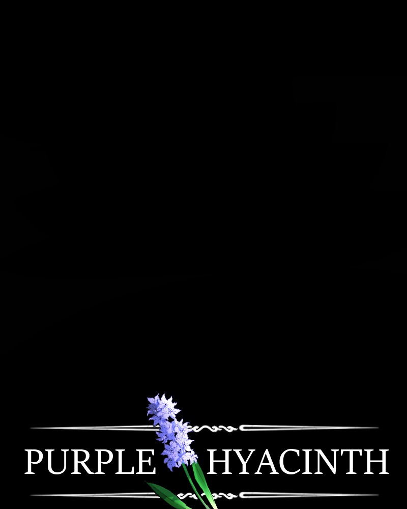 Purple Hyacinth Chapter 159 - page 2