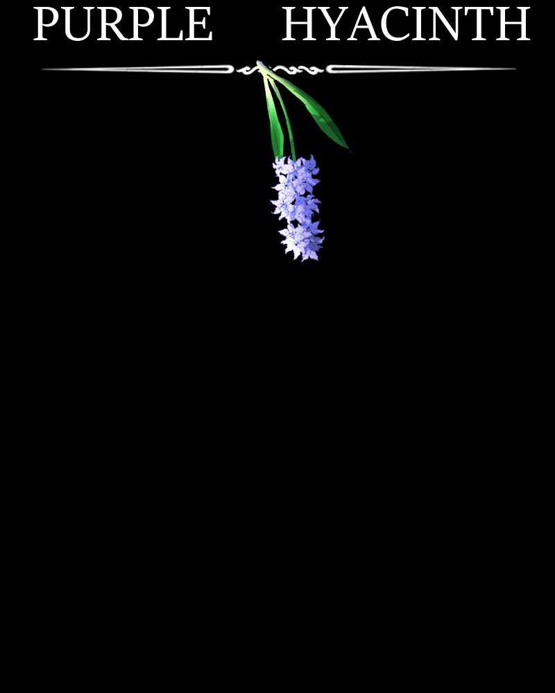 Purple Hyacinth Chapter 83 - page 2